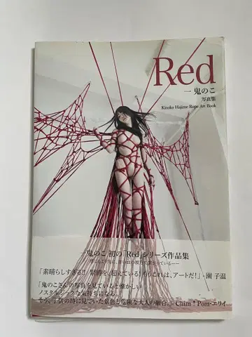 레드 일귀의 자식 키노코 하지메 아트북