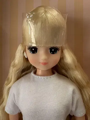 리카짱 캐슬 2021년 니혼바시 BASIC 모델 스위츠짱