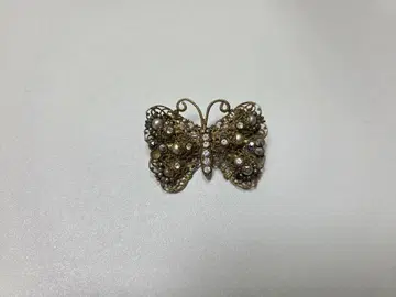 고전적인 나비 브로치