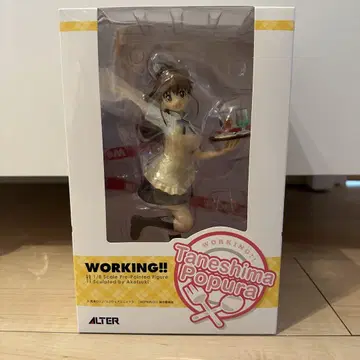 WORKING!! 종시마 포프라 알터 ALTER 1/8