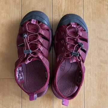 KEEN NEWPORT ECO 키 뉴포트 에코 24.5cm