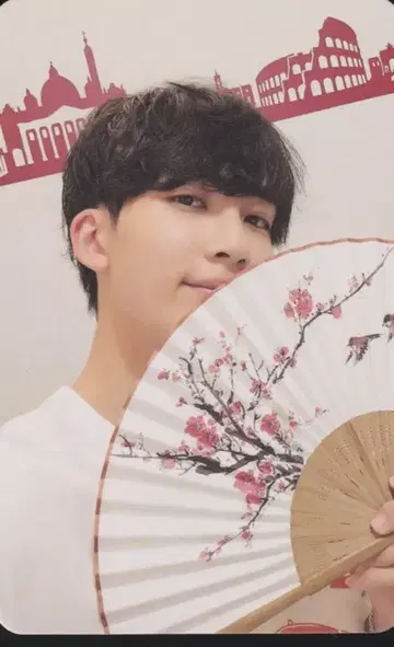 SEVENTEEN JEONGHAN NANA TOUR