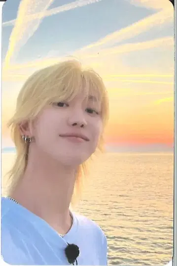 세븐틴 더8 나나 투어