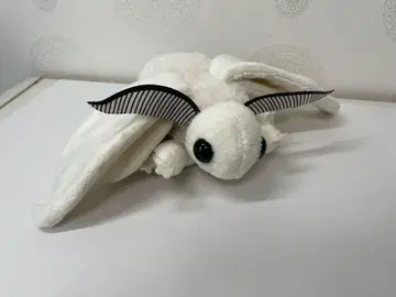 곤충 마니아용 누에 인형, 행사장 한정, 새 제품