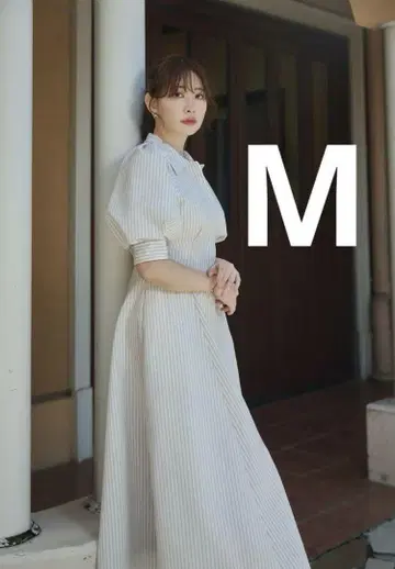 Vienna Volume Sleeve Shirt Dress M