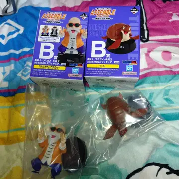 B상  거북선인, 바다거북