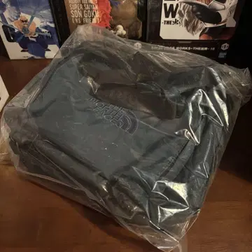 THE NORTH FACE 네이비 숄더백