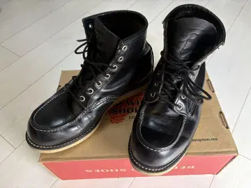 RED WING 아이리쉬 세터