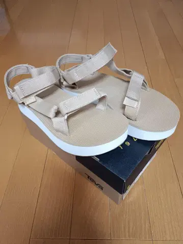 유나이티드 아루스 테바 W 플랫폼 유니버설