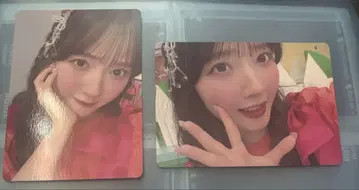 카와모토 쇼루 트레이딩 카드 2장 세트