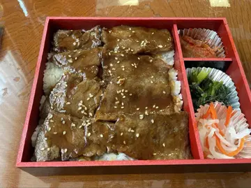 세가토이즈 가정용 플라네타리움 홈스타