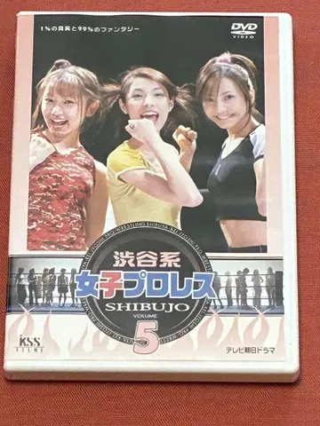 시부야계 여자 프로레슬링(5)