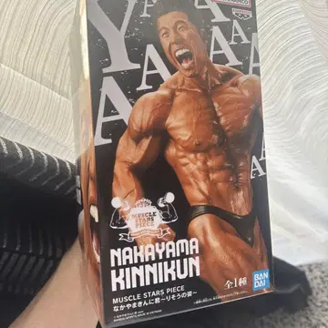 나카야마 키니쿠 피규어