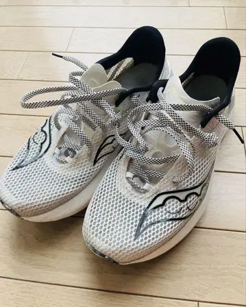 Saucony 엔돌핀 프로3 28cm