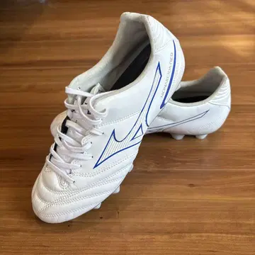 미사용 Mizuno 모나르시다 네오 [ 25.0 ]