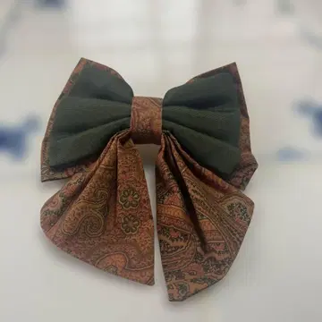 ETRO 페리 패턴의 큰 리본 바레타 헤어 액세서리