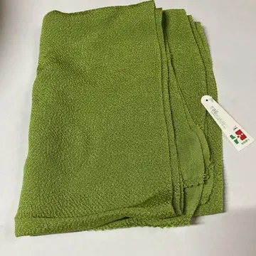 띠 장식  축면  정견