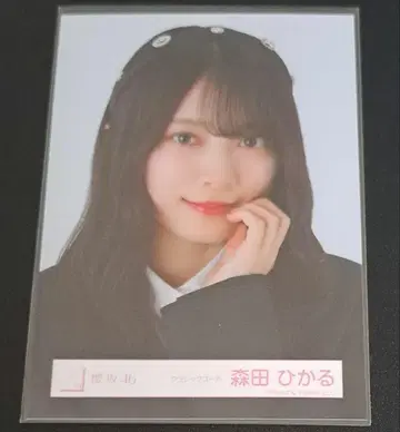 사쿠라사카 모리타 히카루 생사진 클래식 코디