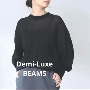 Demi -Luxe BEAMS 데밀룩스 빔즈 시어 크루넥 니트