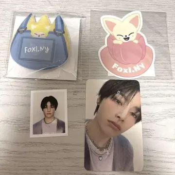 straykids 폭시니 아이엔 스키즈