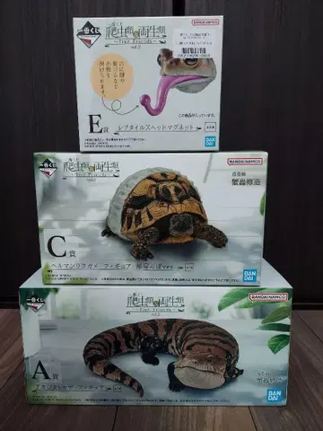 파충류 & 양서류 1등 추첨