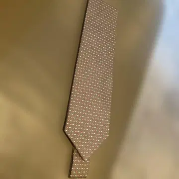 Salvatore Ferragamo 그레이 넥타이