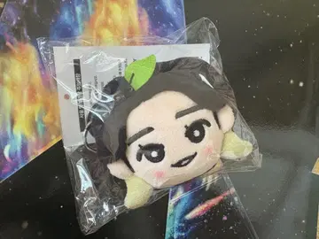 미스 한국 인형 대모리 모토키 미스 그린 애플 모쿤
