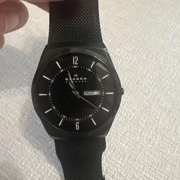 SKAGEN SKW6006 블랙 시계
