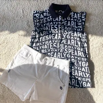 파리게이츠 셋업