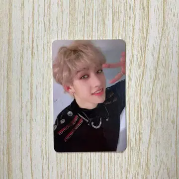 Straykids 스키즈 i am you 방찬 대만 한정판 트레이딩 카드