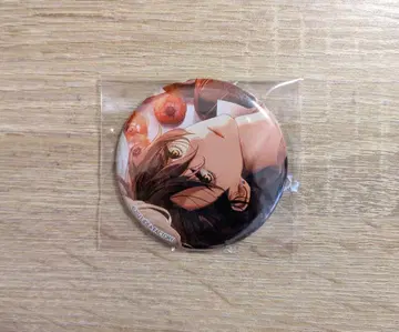 종결 빌 애니메이션 캔 배지 아돌프