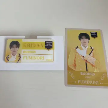 에비라이 2025 BUDDiiS FUMINORI 트레이딩 카드 이름 배지