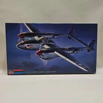 모노그램/하세가와 P-38J/L 라이트닝 '노즈 아트' 1/48