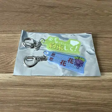 맥로스 F 럭키 드로우 대사로 장식된 아크릴 키링 - 란카 알토