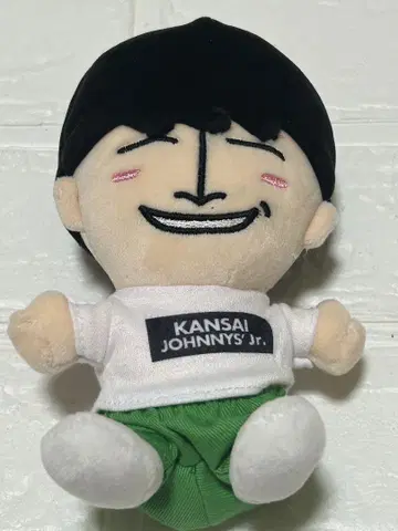 A 그룹 사노 마사야 치비누이