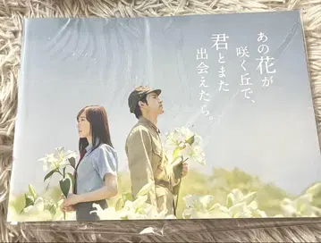 영화 그 꽃이 피는 언덕에서, 너와 다시 만날 수 있다면. 팜플렛