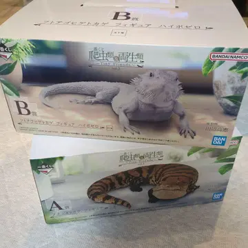 첫 번째 추첨 파충류 & 양서류 A상 B상