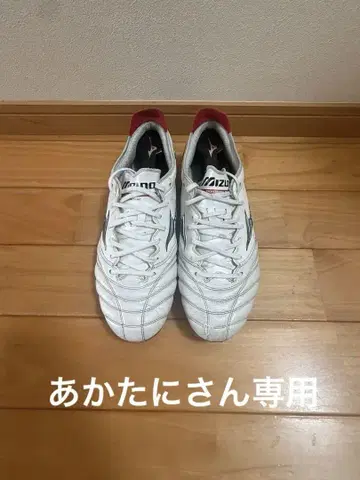 모렐리아 네오 26cm