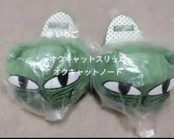 오쿠캣 슬리퍼 노트 테기 손가방