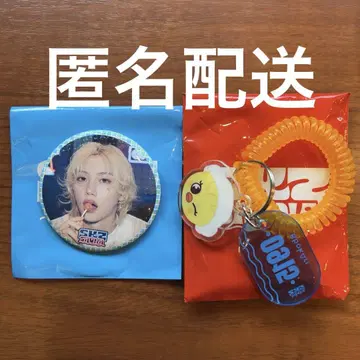 스트레이 키즈 스키즈 팝업 캔 배지 키링 필릭스