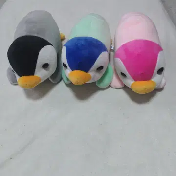 교토 수족관 펭귄 복권 펭귄 인형 3종 세트