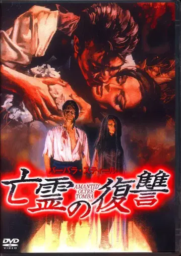 외국 영화 DVD: 유령의 복수