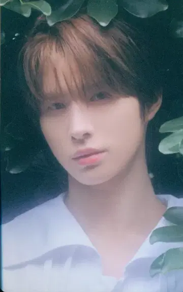 TWS 타워레코드 경민 안녕하세요 시부야 B상