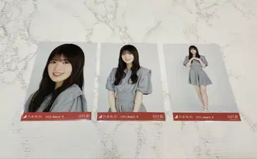 노기산 46 오가와 아야 생사진 스웨터