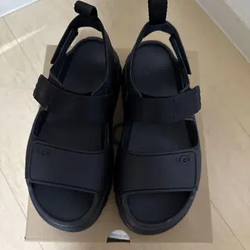 골든 글로우 정품