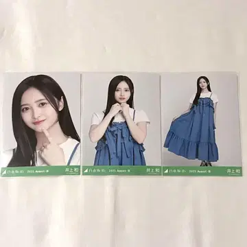 노기자카46 생사진 이노우에 카즈 샤링 원피스 세트