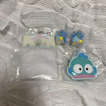 하피단부이 4점 세트