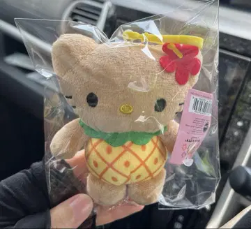 헬로 키티 파인애플 하와이 일광욕 키티