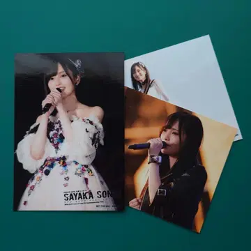 야마모토 사야카 SAYAKA SONIC 생사진