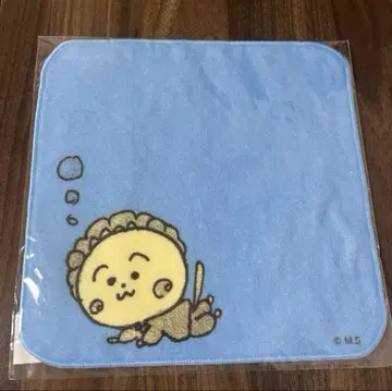 코지코지 파르코 타월